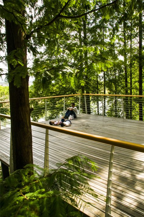 浙江浦阳江生态廊道 | 海绵城市设计与实践-30