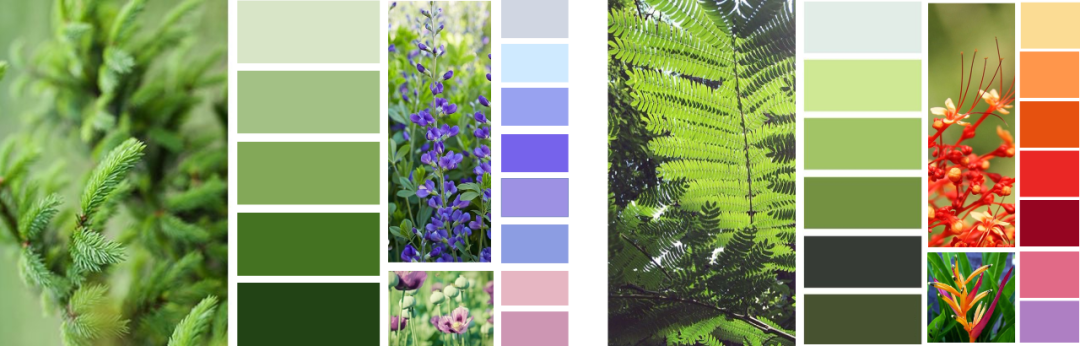 深圳华润万象前海商业花境设计及落地丨中国深圳丨深圳本末度景观设计有限公司-52