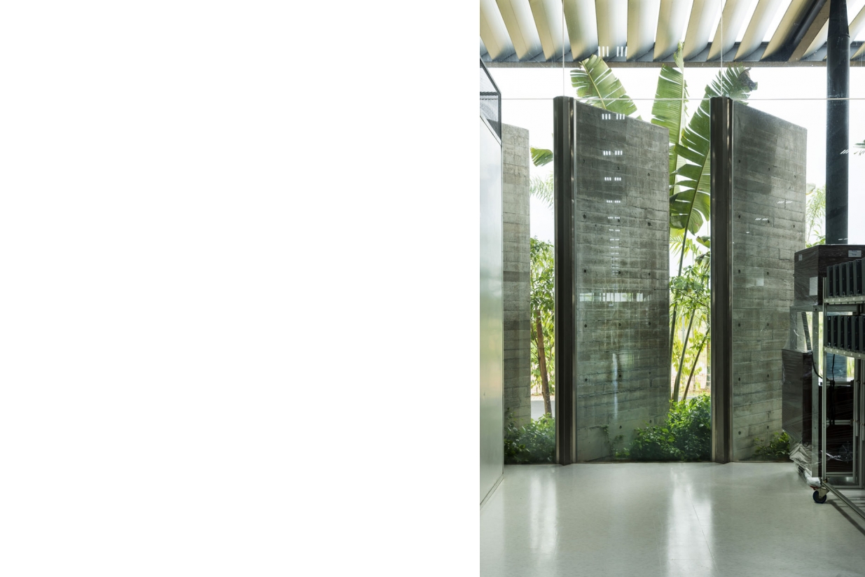 槟城森林中的工厂丨马来西亚槟城-11