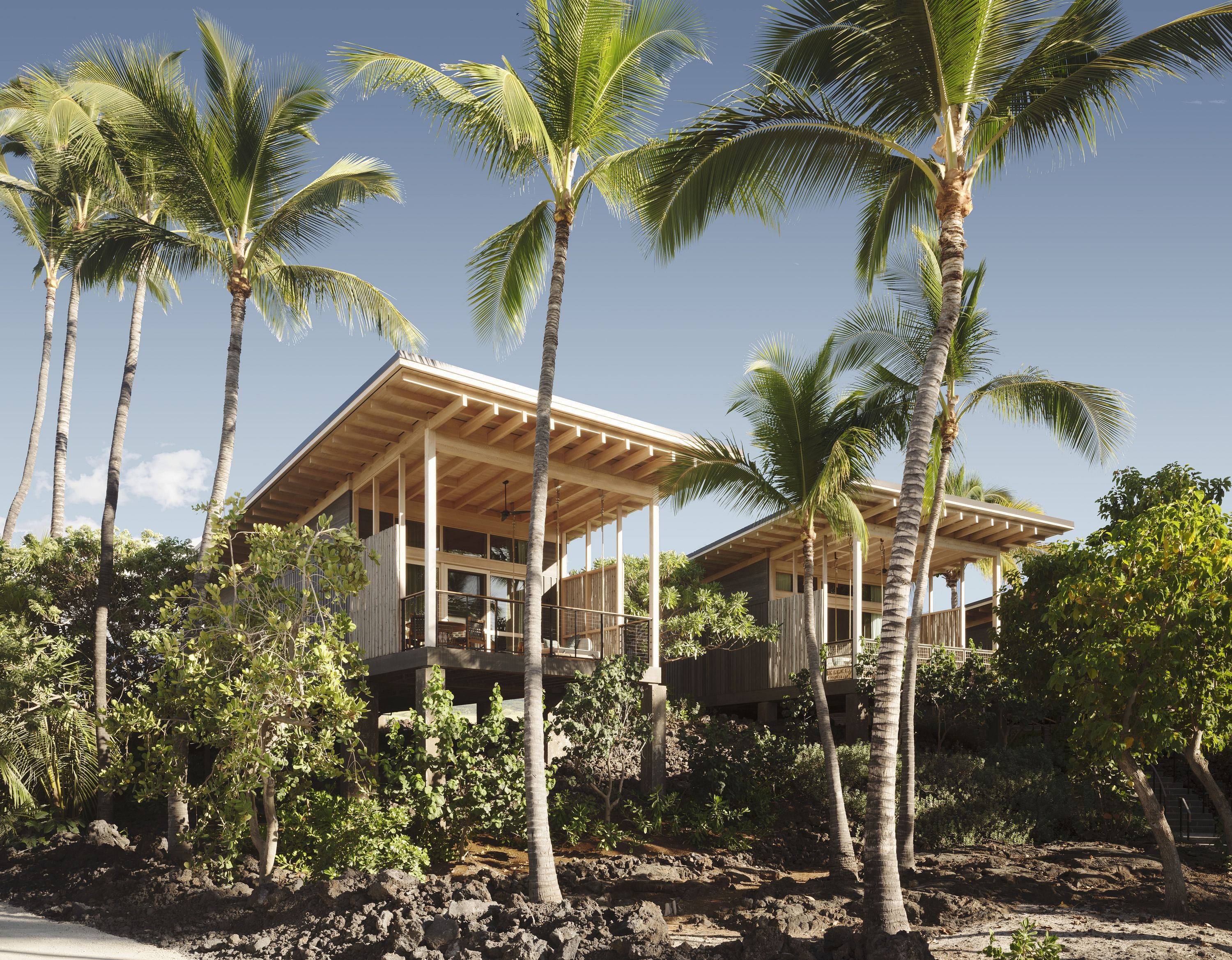 丨美国夏威夷丨Walker Warner-23