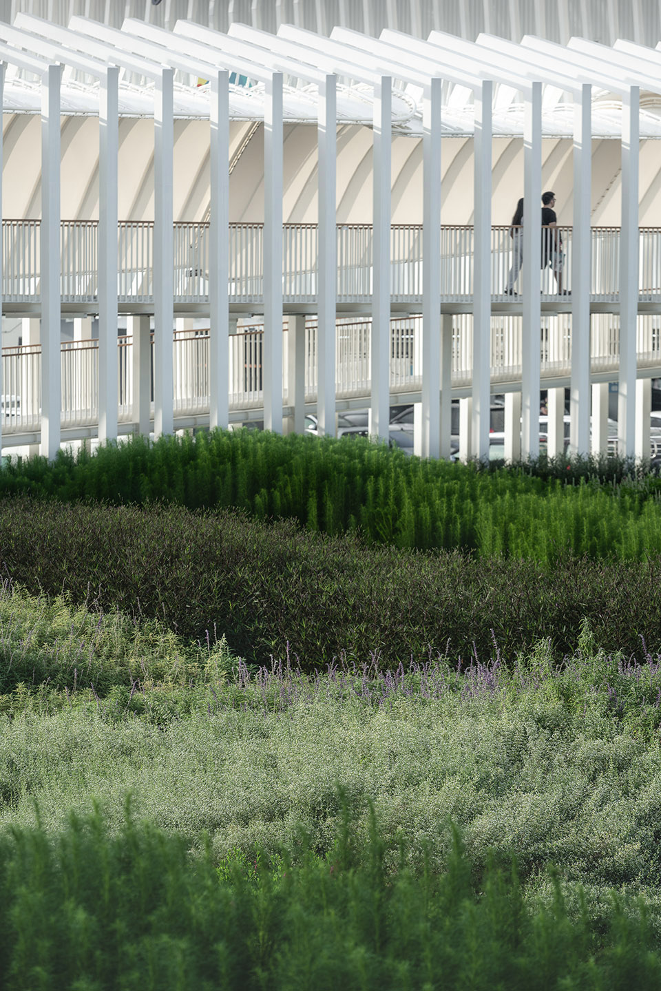 Megapark商业综合体改造,曼谷 / Architectkidd-19