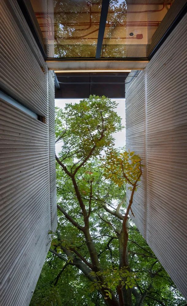 学生共享生活社区 · Interlomas 公寓丨墨西哥墨西哥城丨勾勾手设计网-23