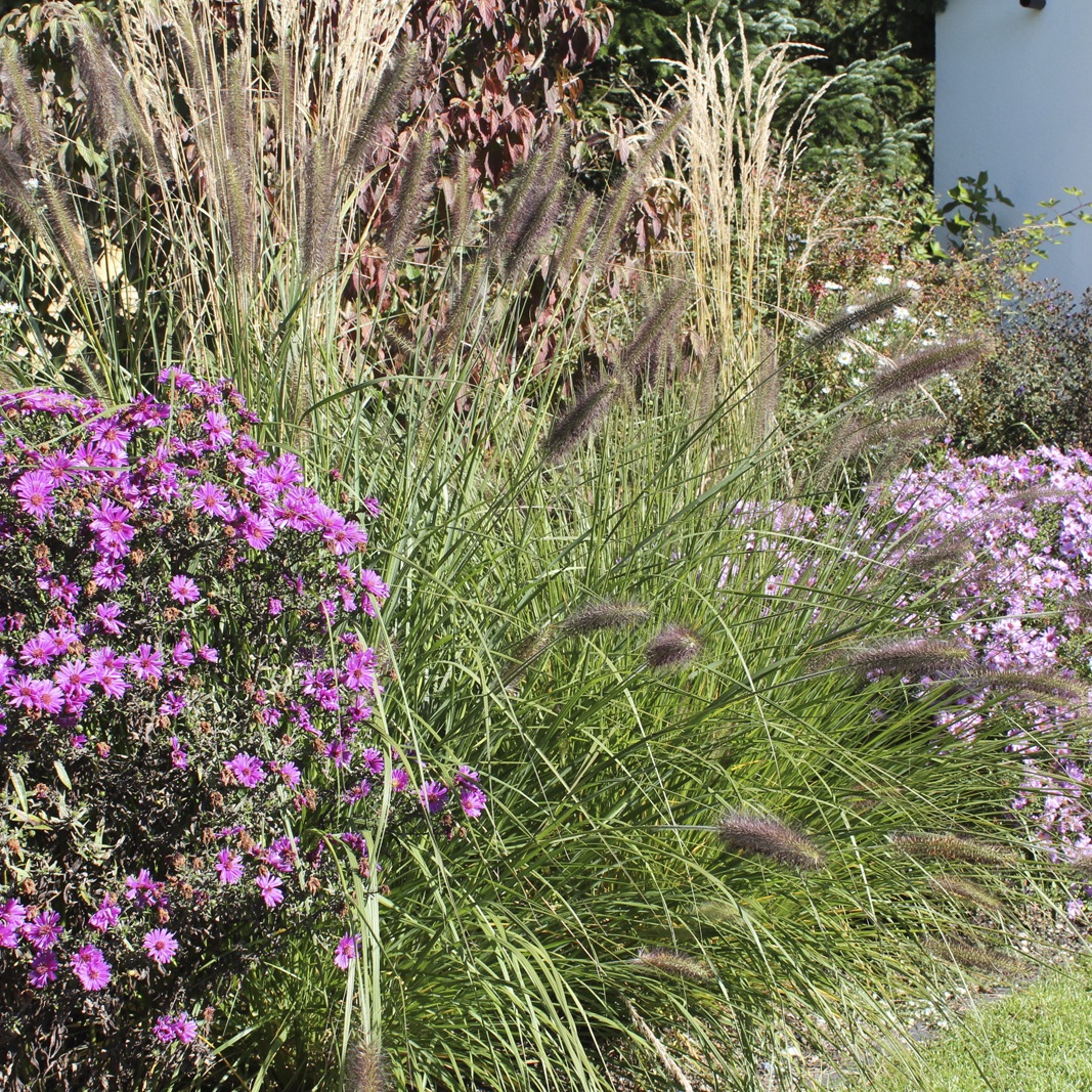 Gräfelfing经典私人花园改造丨CvB Gartendesign München-16