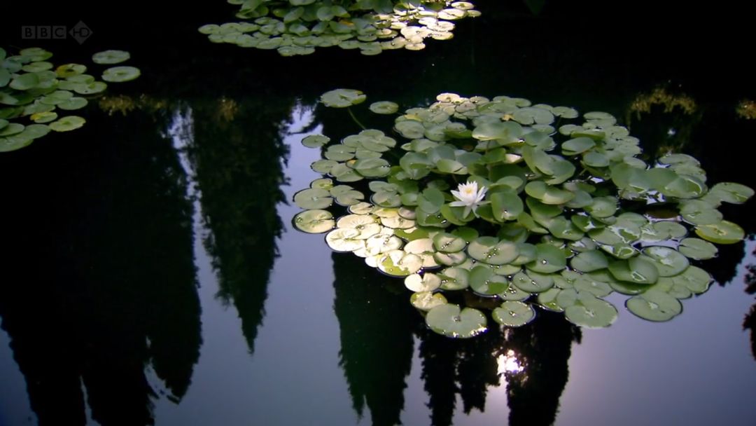 绿意盎然,文艺复兴风格复兴之作——伊塔蒂别墅花园设计-37