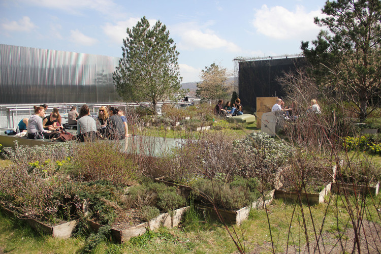 苏黎世艺术大学屋顶花园-8