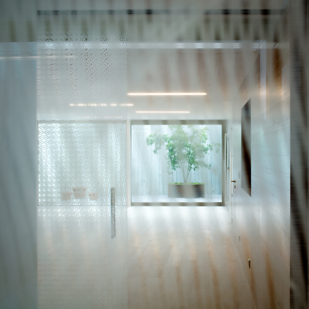 瑞士 Hauterive 湖畔混凝土与玻璃的现代住宅-66