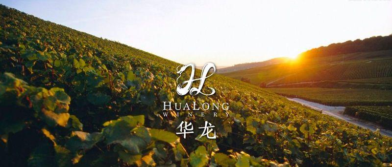 华龙酒业品牌全案开发设计-11