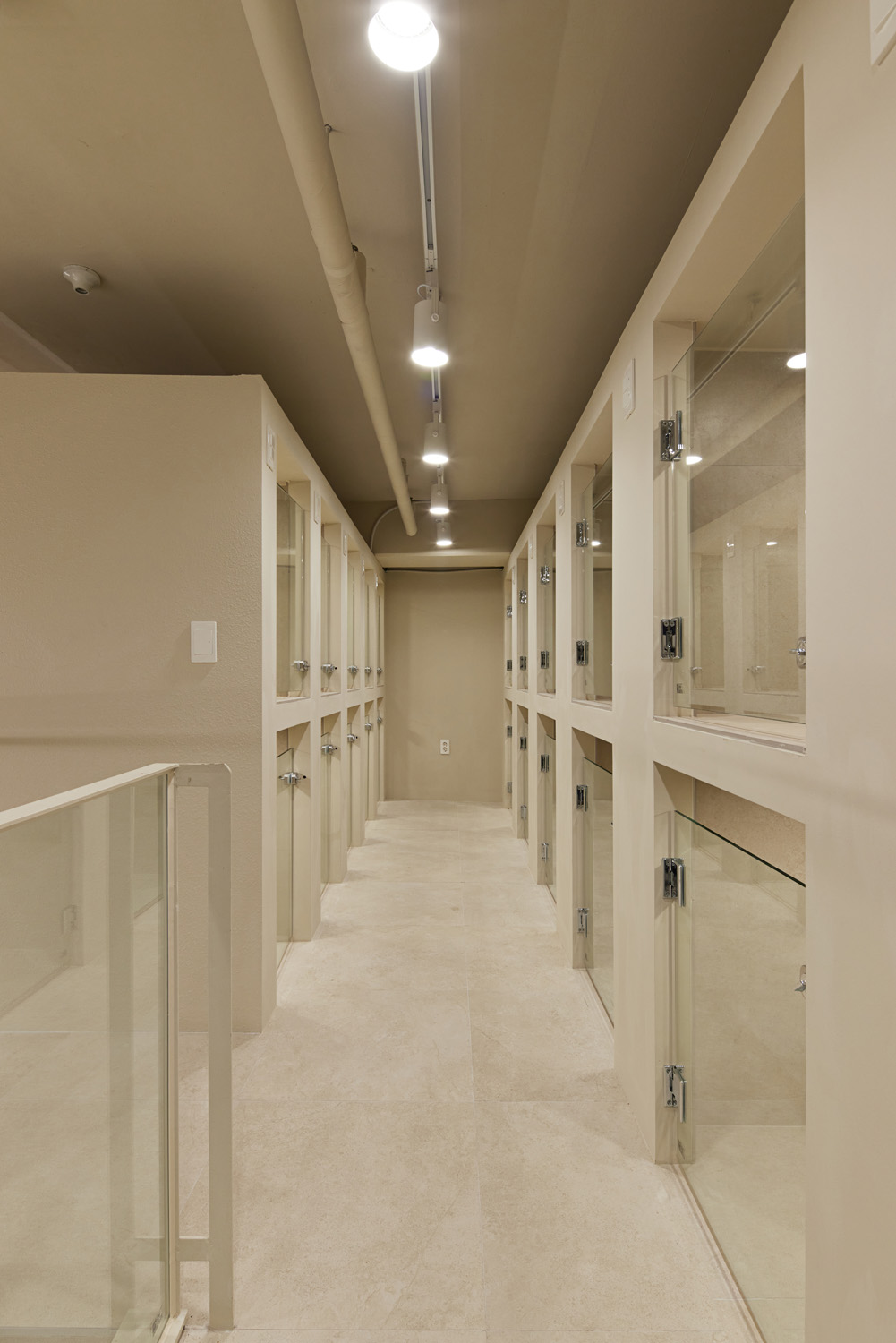 70 平宠物酒店，打造温馨如白洞咖啡馆的氛围-19