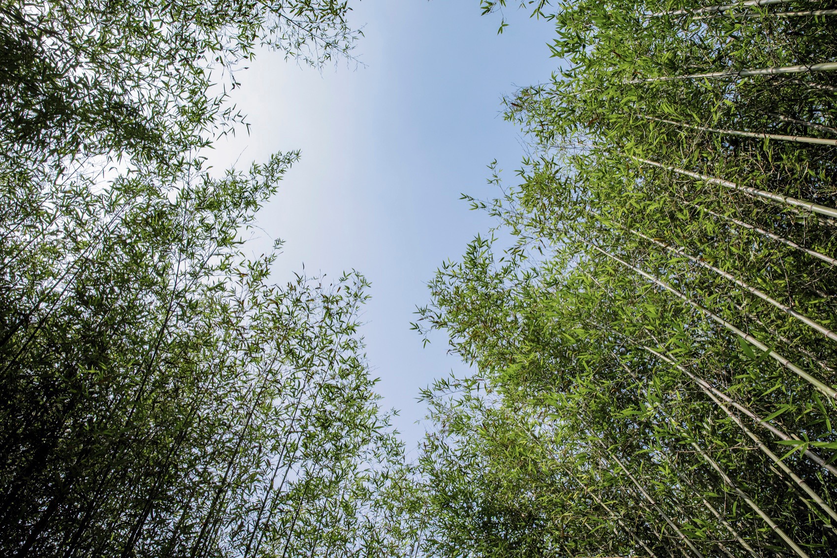 望京阜园景观改造提升设计丨中国北京丨埊木设计(CAFA·A城市艺术创新中心)-80
