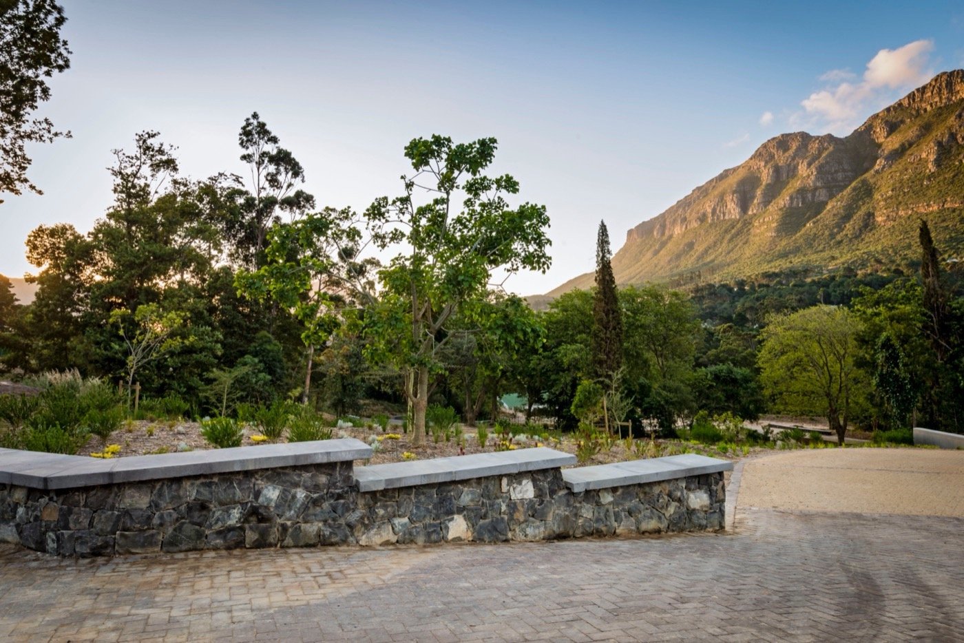 南非阿普尔加思庄园-36