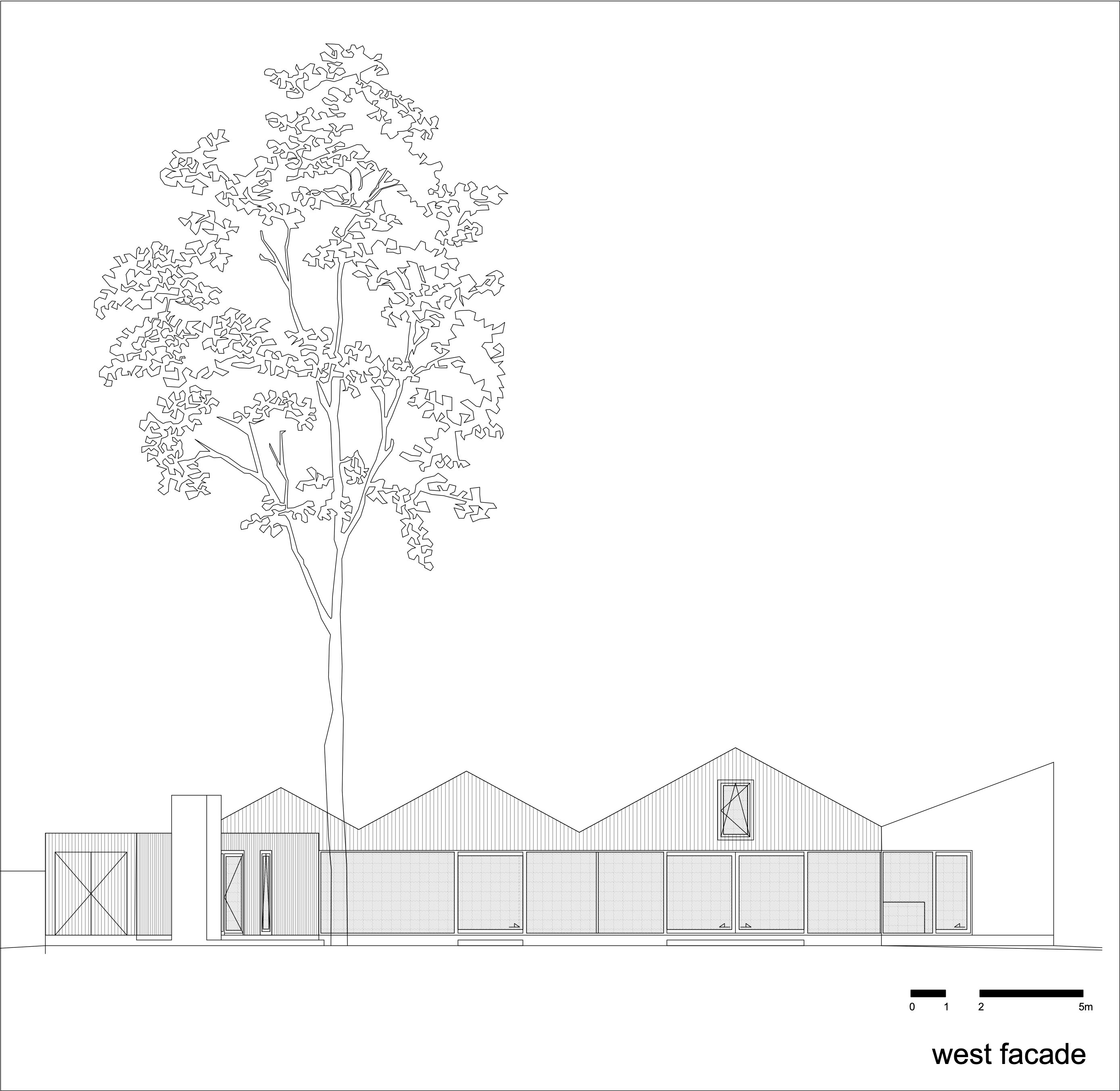 住在树林里丨比利时丨BASIL architecture-29