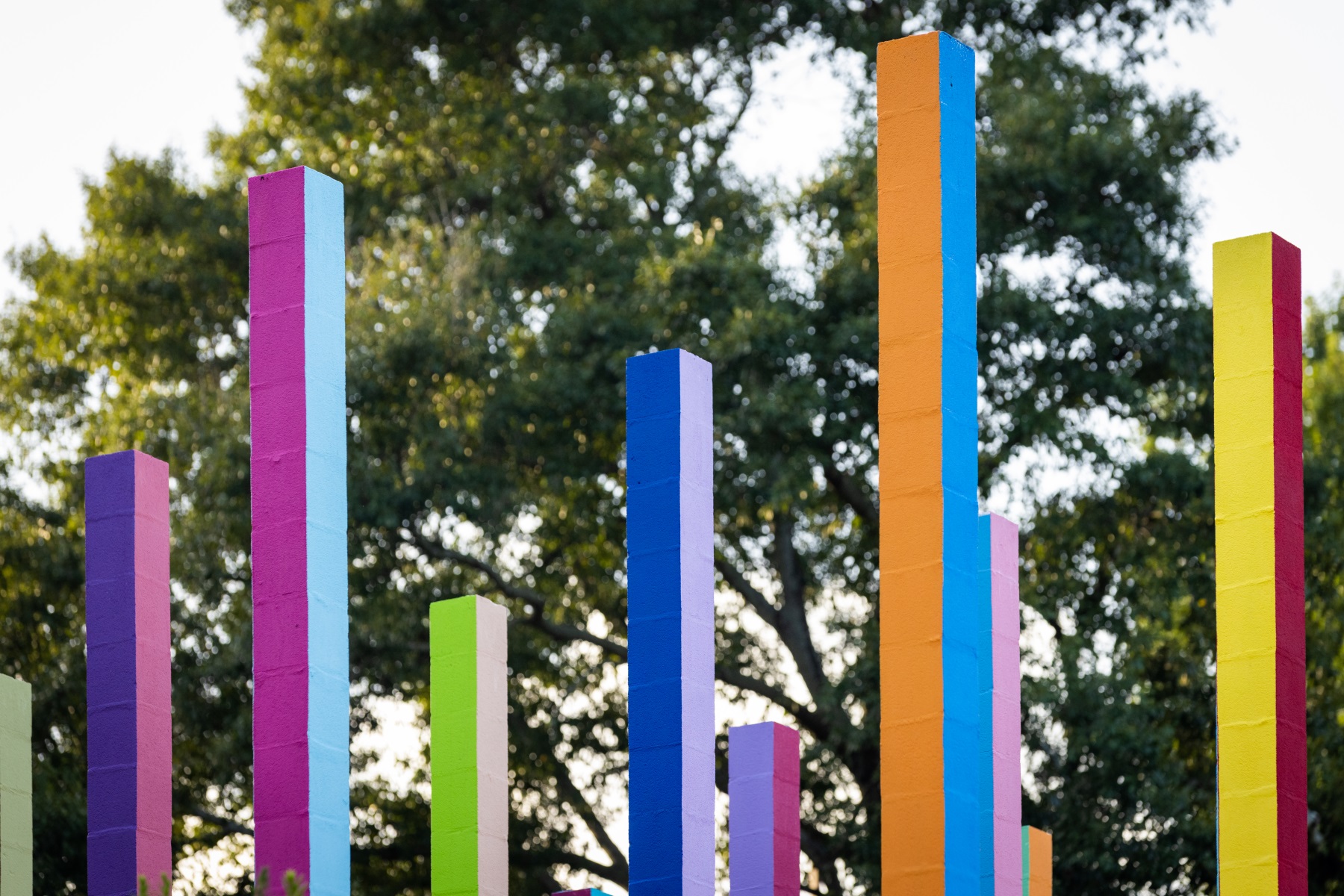 彩虹森林丨美国丨Office Kovacs-20