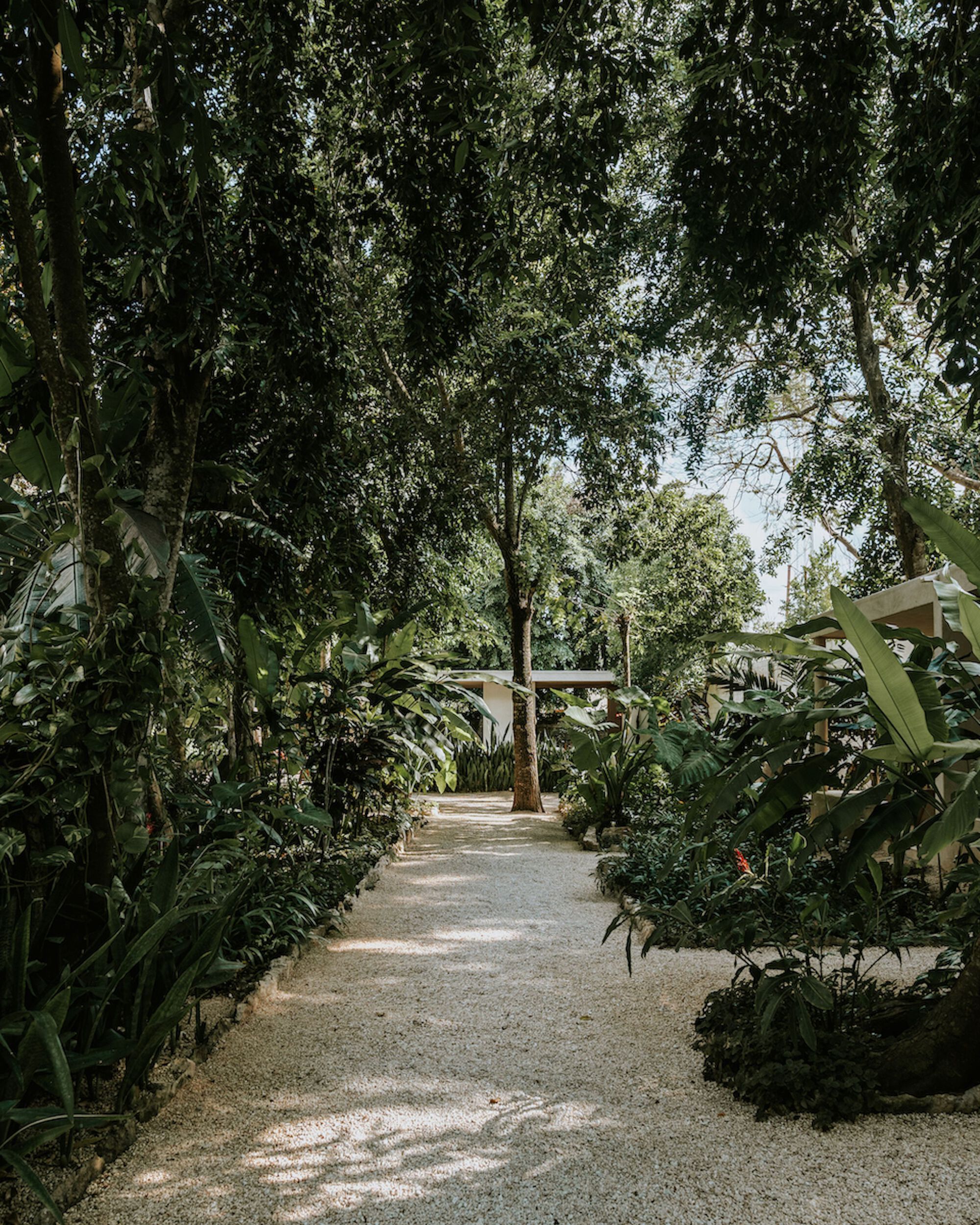 卡索纳洛斯塞德罗斯酒店丨墨西哥丨Laura Lecué Collectif COMO-49