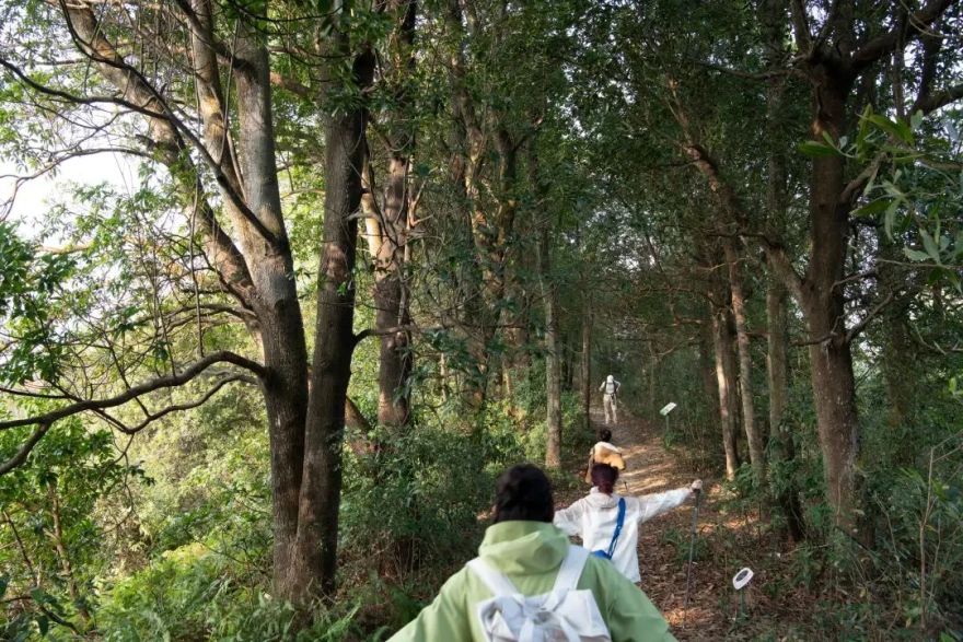 未名新作|山野有乾坤都市藏鲲鹏-深圳山海连城计划罗湖区东湖公园郊野径-莲塘口岸线-3