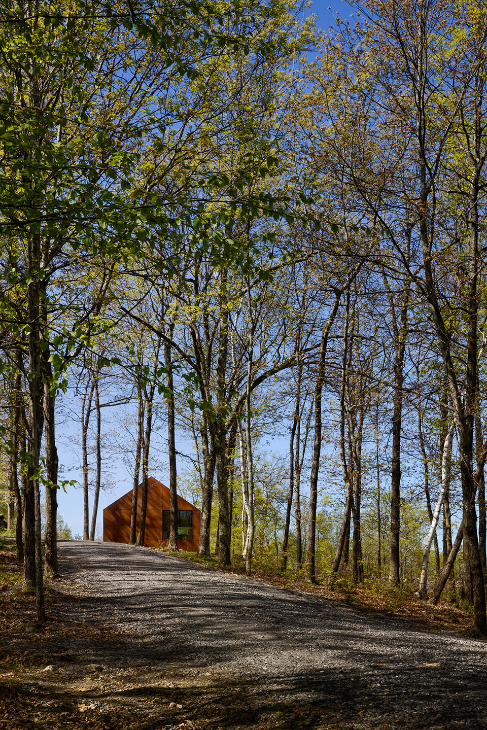 山脊之屋丨哥伦比亚-127