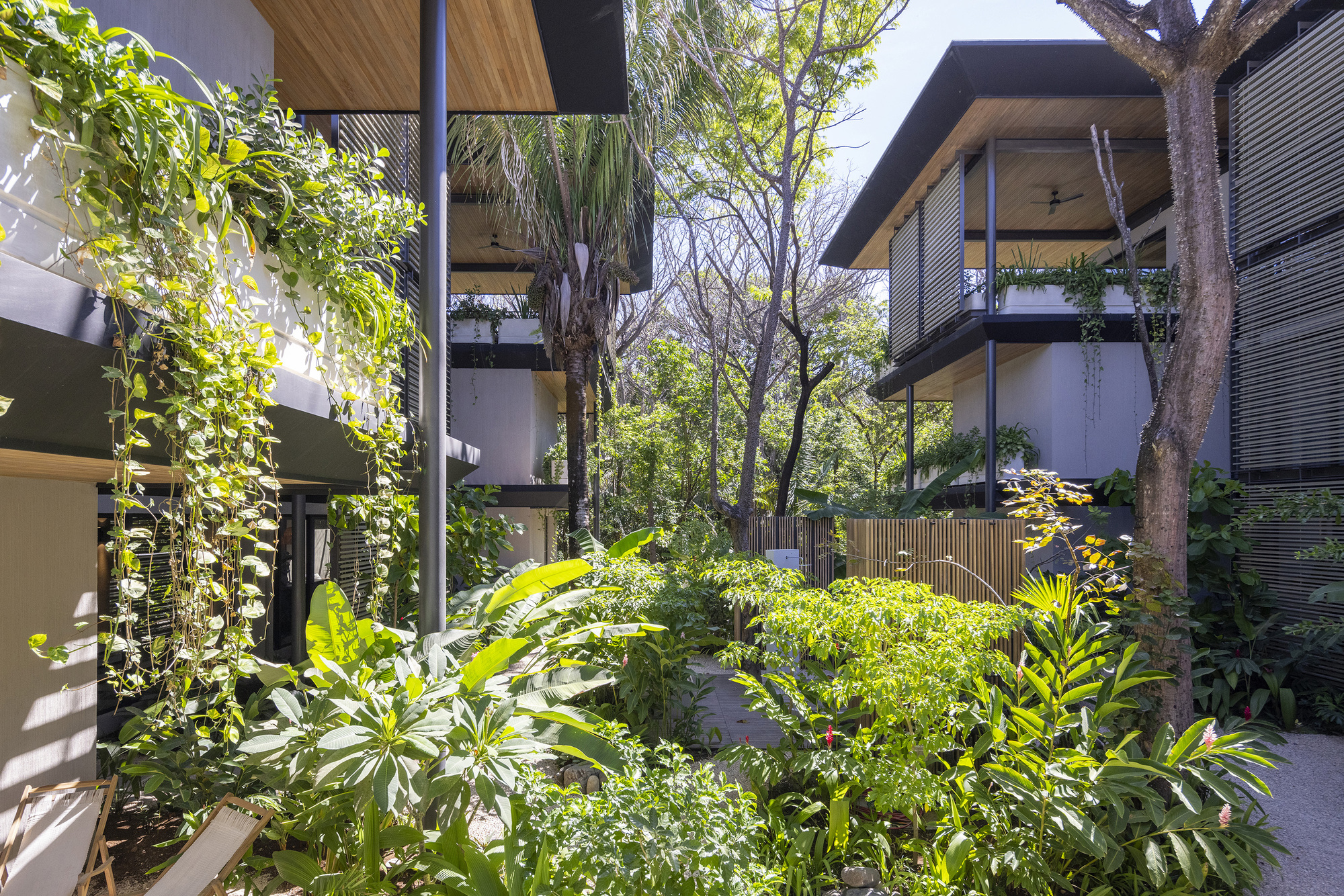 奎因冲浪公寓丨哥斯达黎加丨Studio Saxe-13