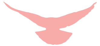 这支党支部勇站C位！-49