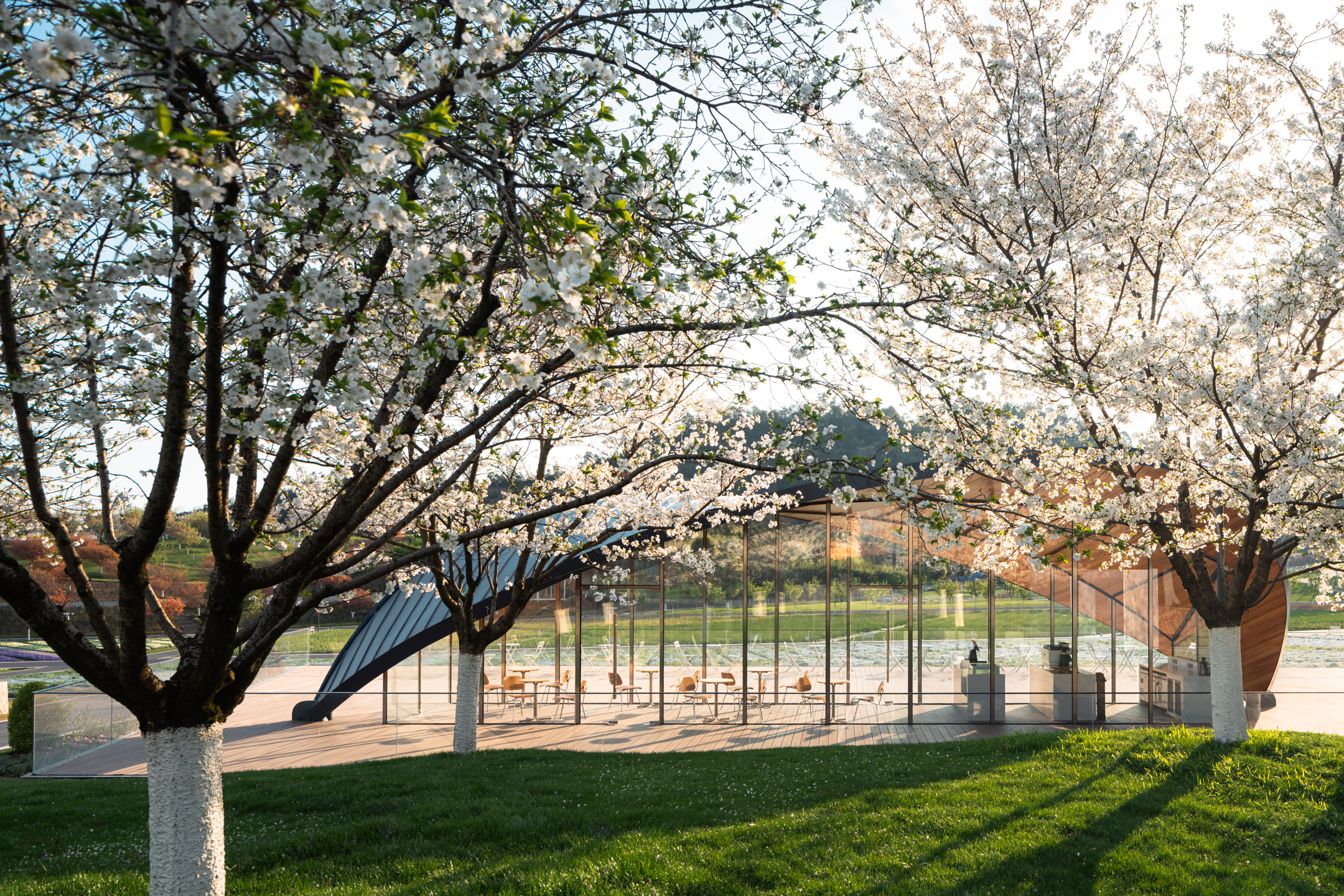 一叶咖啡丨可方思-9