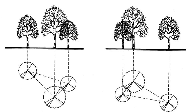 园林景观植物绿化设计方法解析-26