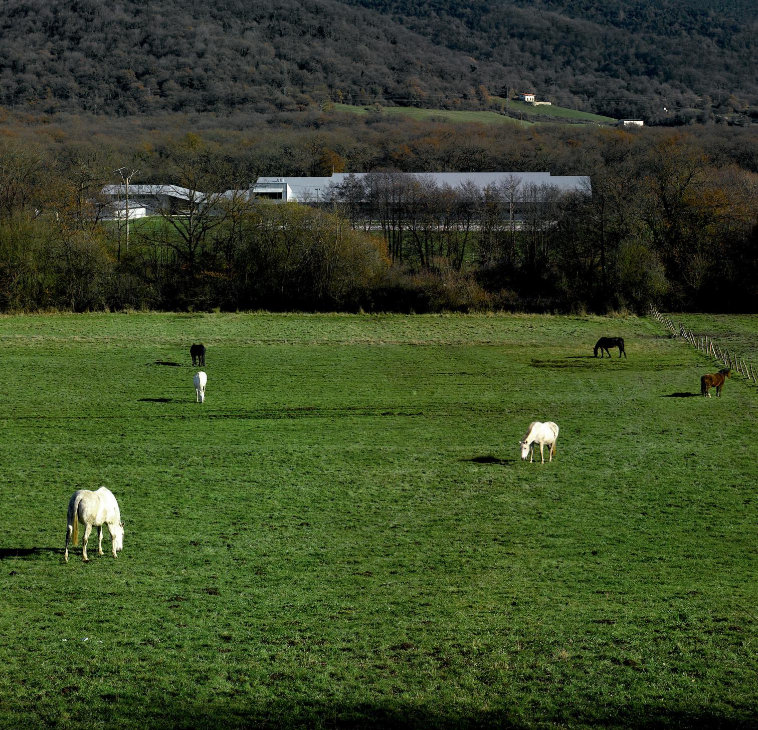 融合环境的西班牙高性能马术中心-14