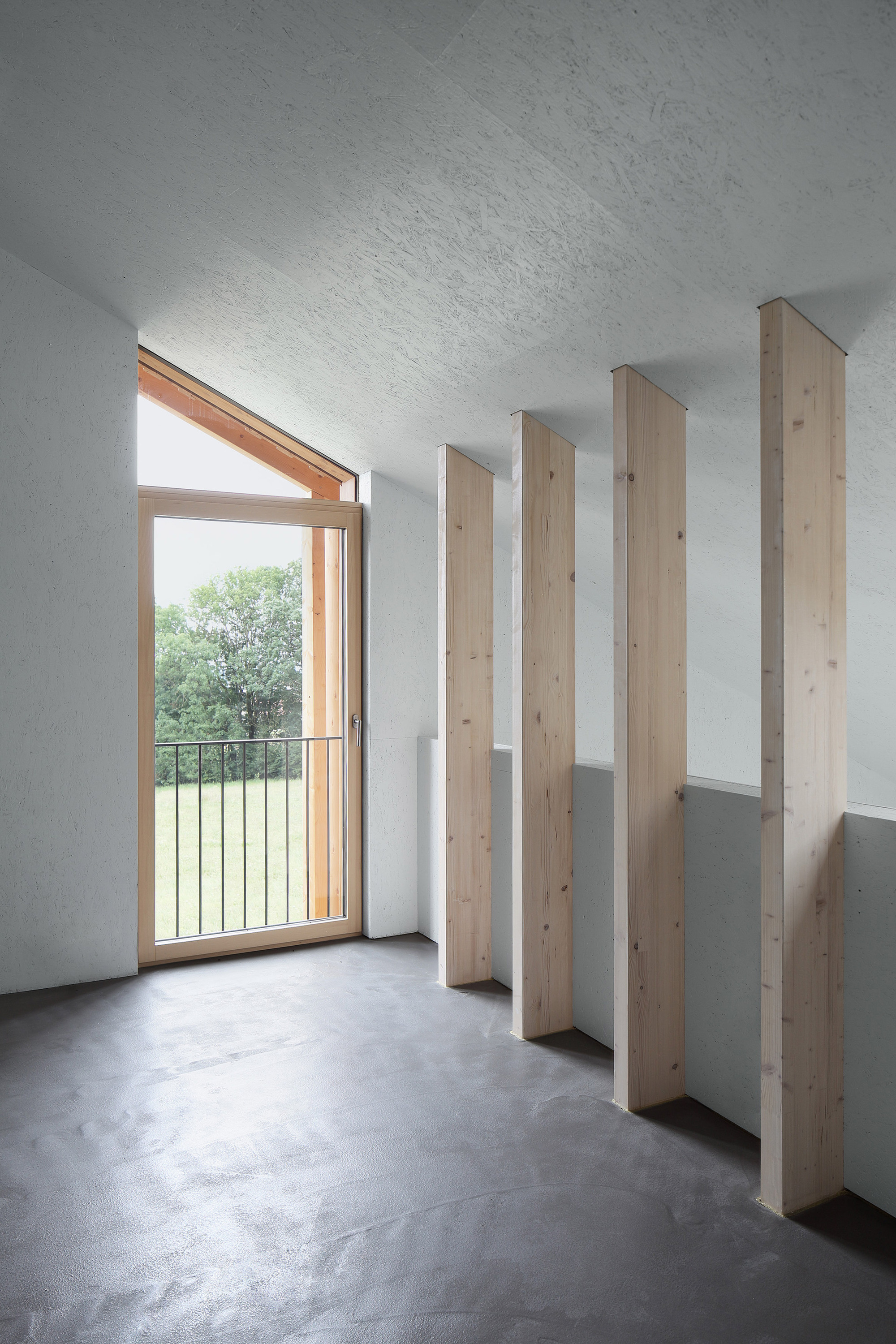 房子 SF 或 众议院 SF （具体需根据上下文确定）丨奥地利丨Moser und Hager Architekten-30