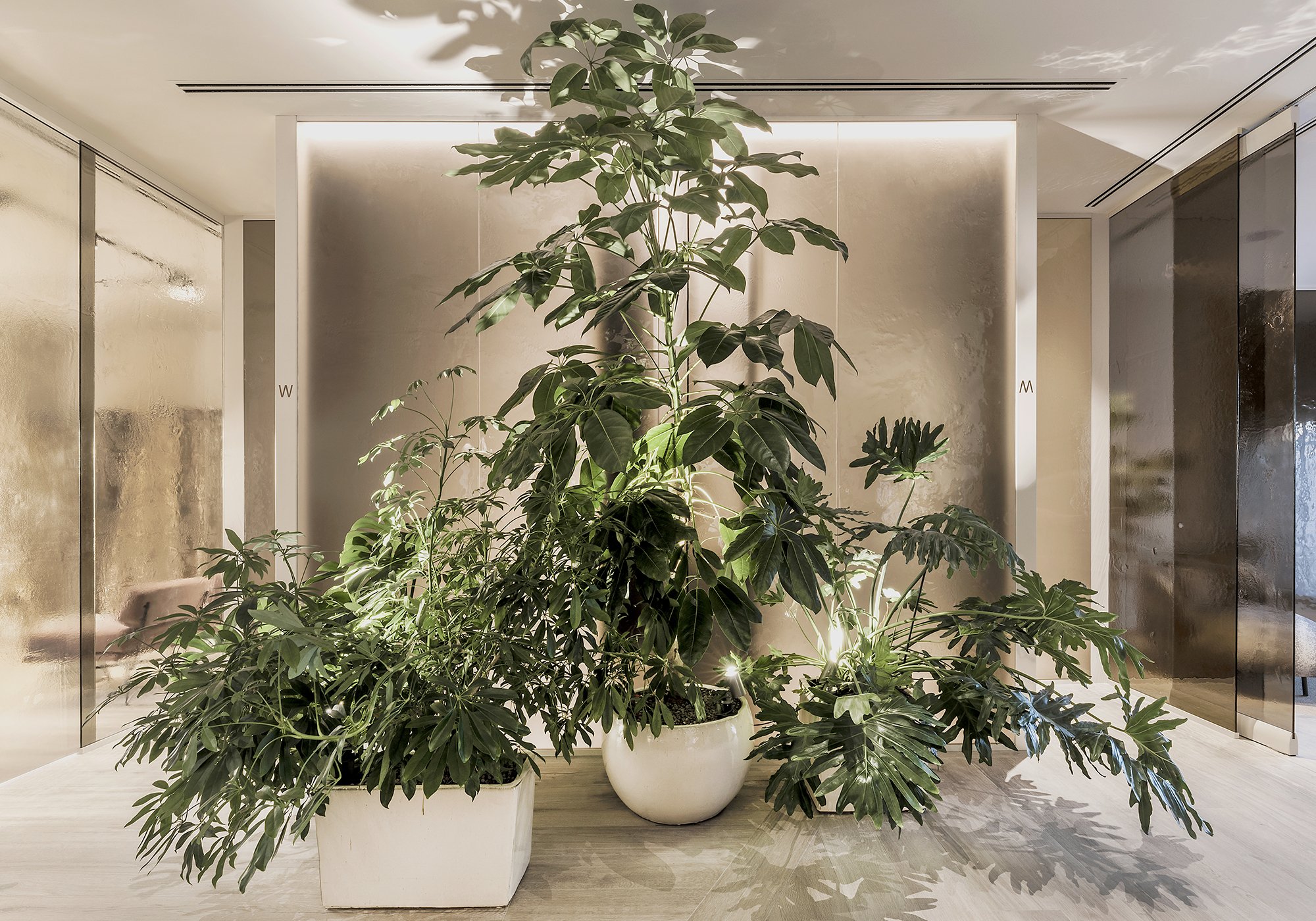 麦卡瑟格伦贵宾休息室 · 瑞维娅丨法国尼斯-17