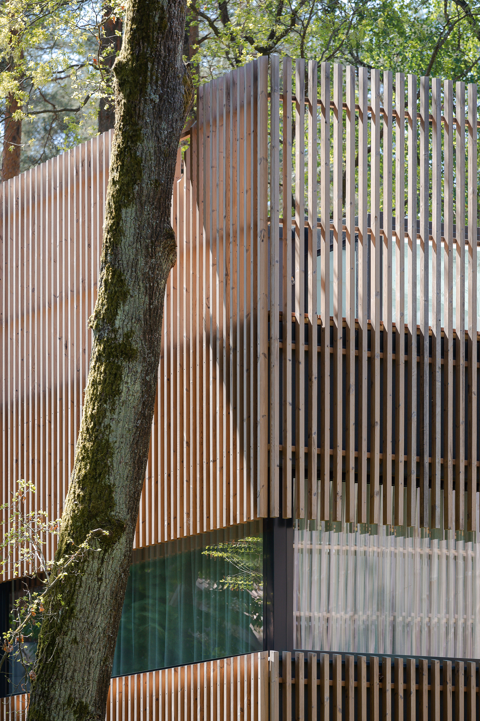 Residential Houses in the Pinewood Near Vilnius / Paleko architektu studija-24