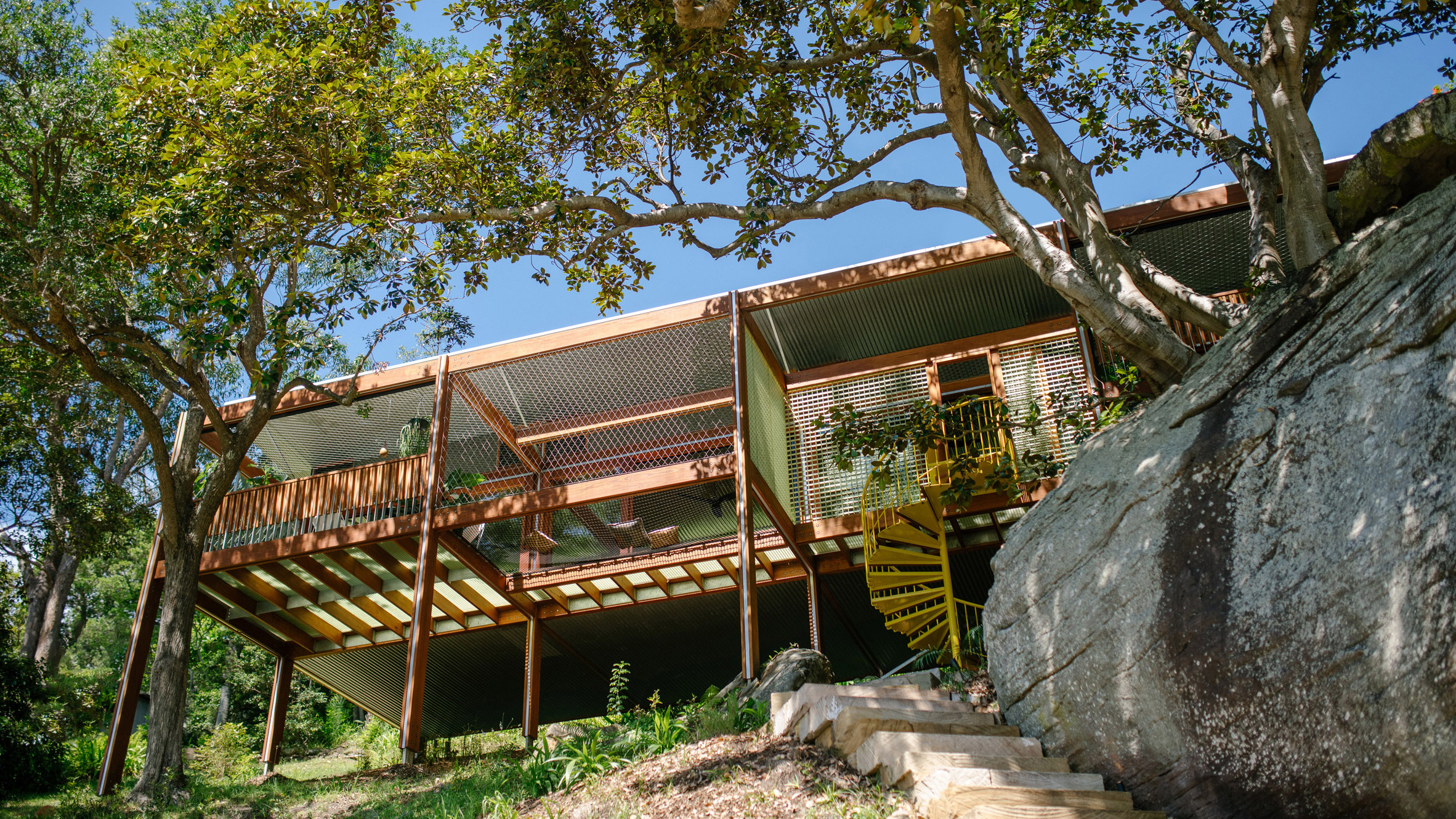 建筑师如何拯救每年数十亿只鸟儿的生命？-27