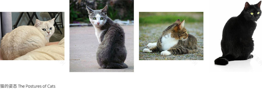 猫屋丨中国浙江丨跳房子建筑工作室-37