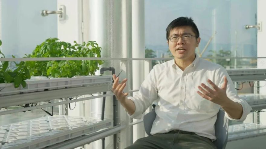 香港KFarm · 高科技农场的绿色奇迹丨中国香港丨陈启豪等-15