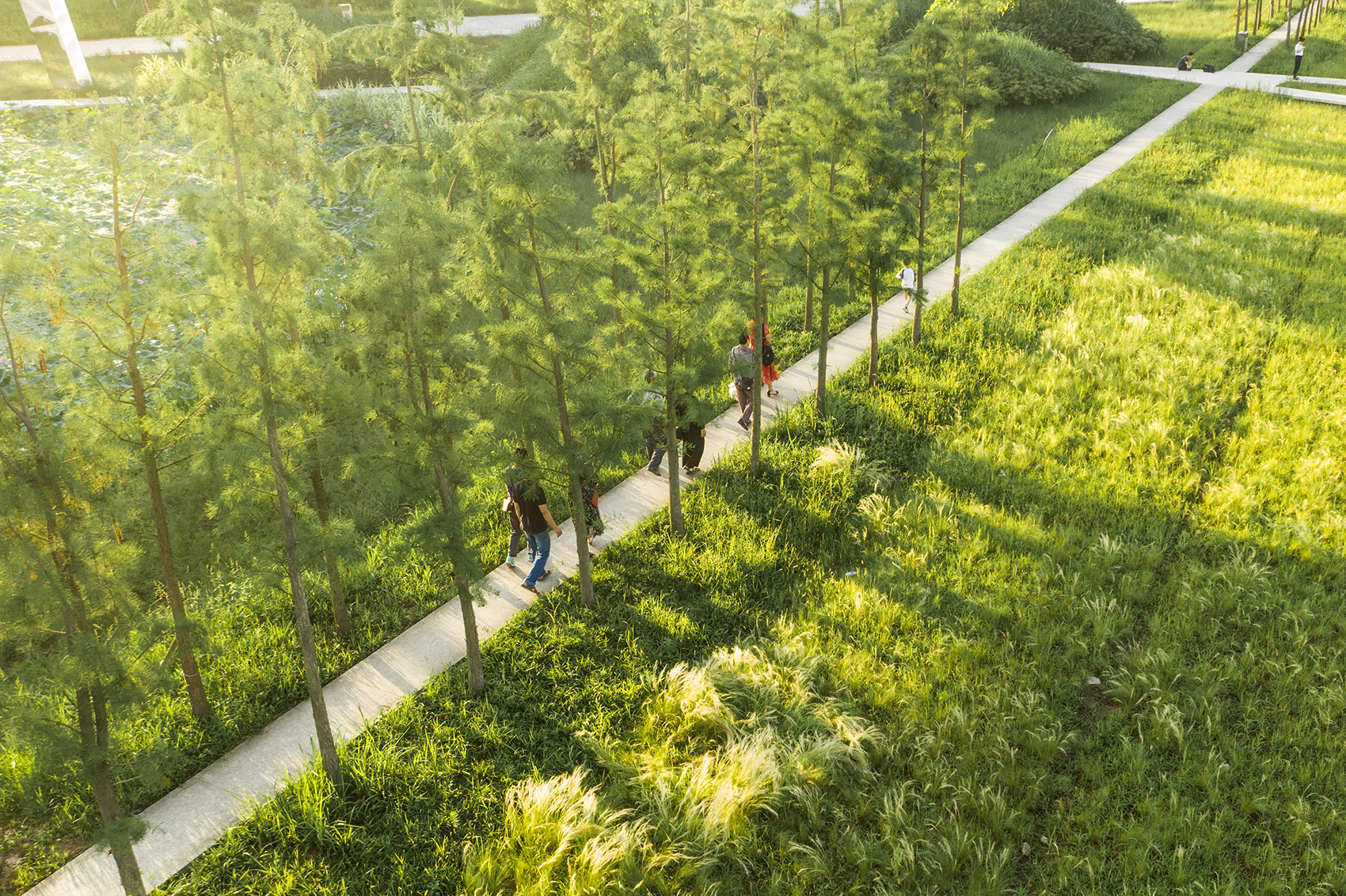 重庆潼南大佛寺湿地公园 / 土人设计-84