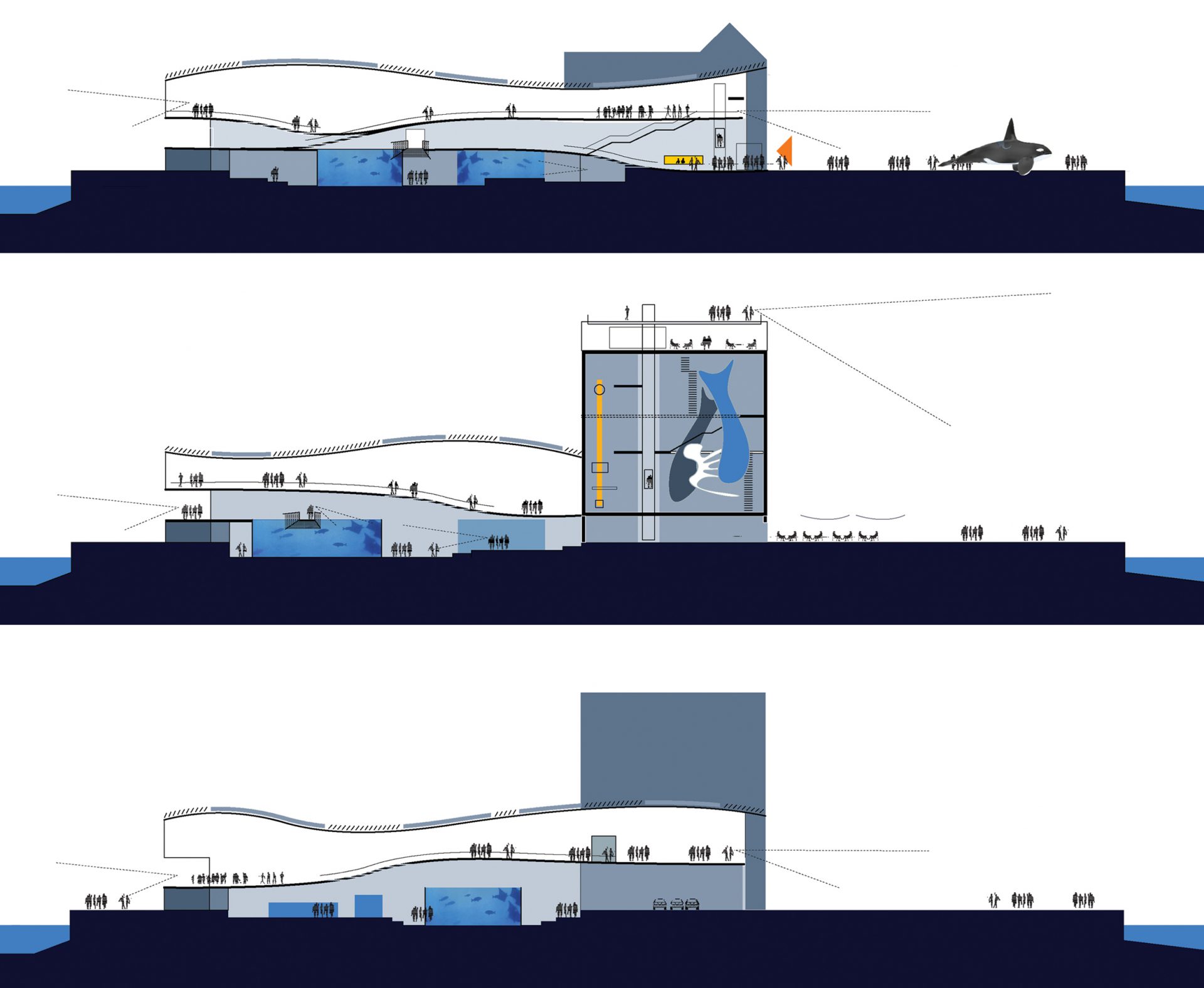 Ozeaneum Stralsund Neubau Meeres-Naturkundemuseum-6