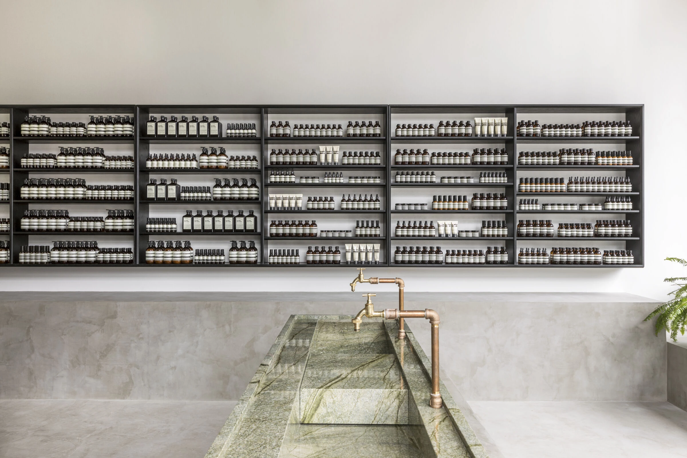 Aesop Capitol Hill-12