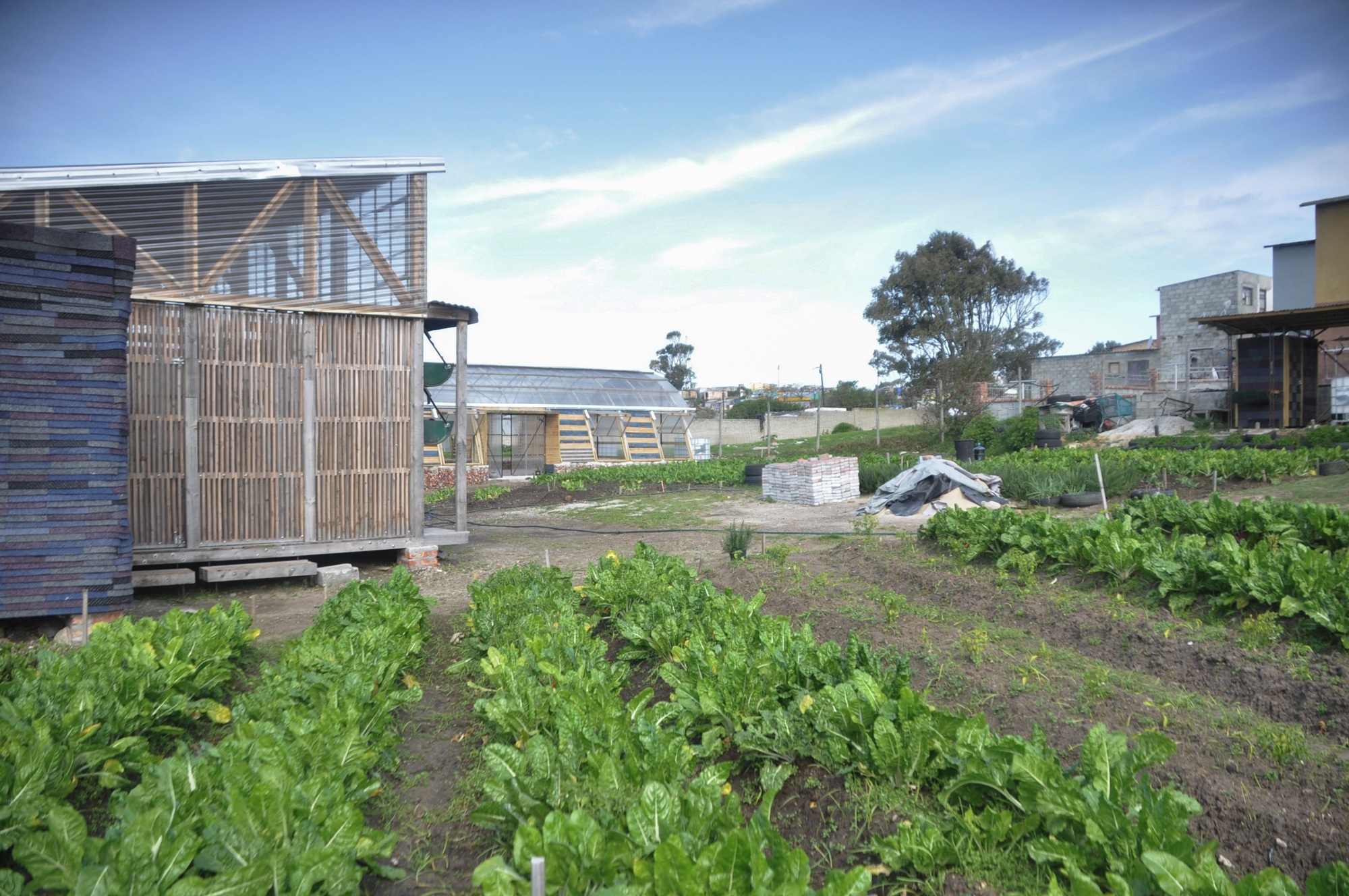 Lim'uhphile Co-op / Collectif saga-29