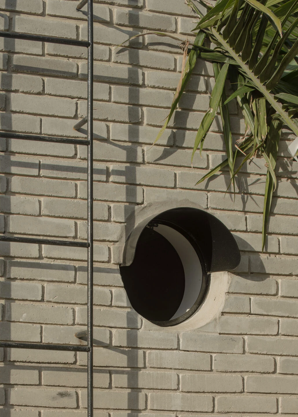 隐蔽的房子 / 隐藏的屋子丨阿根廷罗萨里奥丨Estudio STGO-25