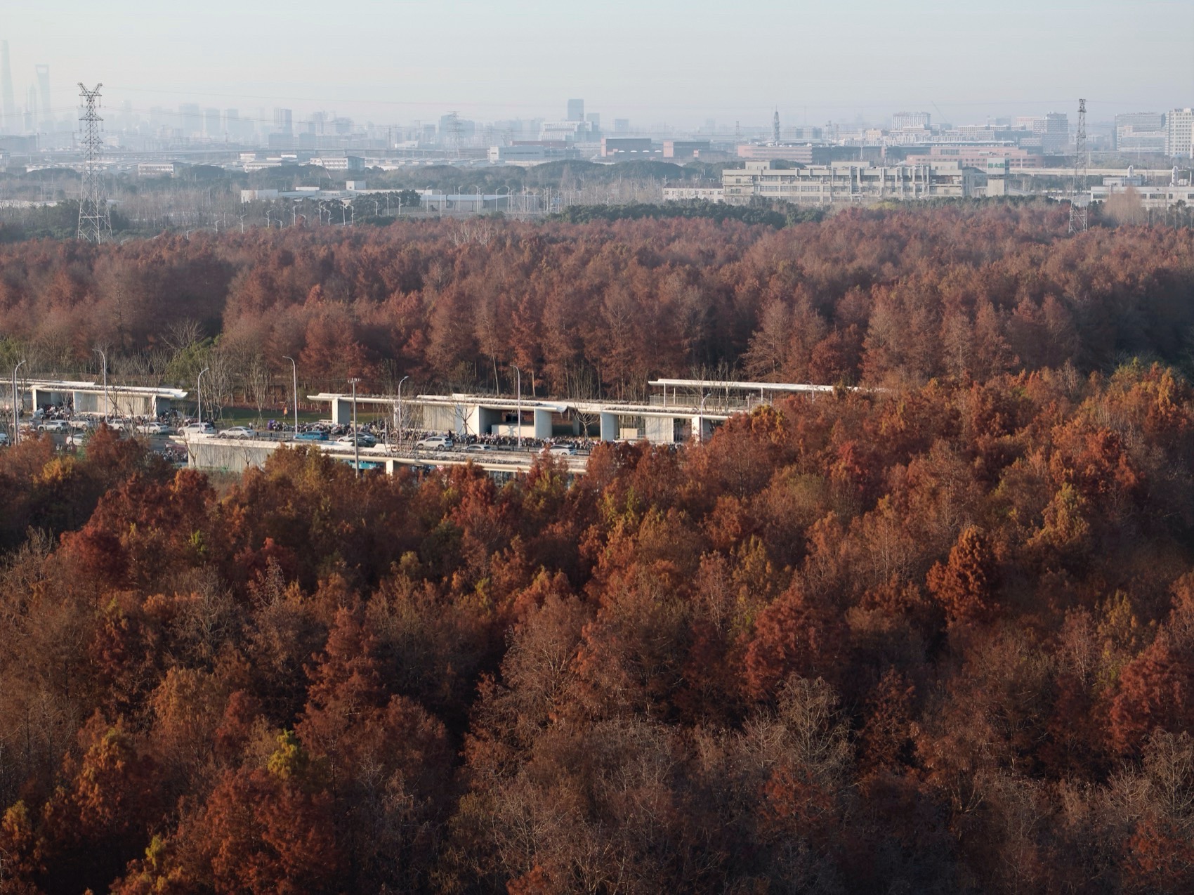 上海市域线康桥东站地面站点丨中国上海丨同济设计集团·原作设计工作室-3