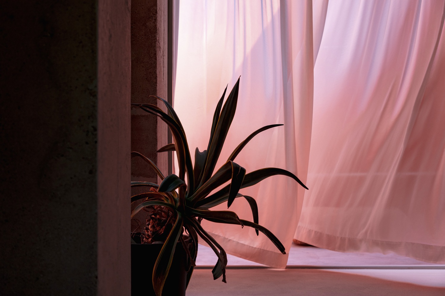 Doldam House · 与自然共生的宁静诗意居所丨韩国-33