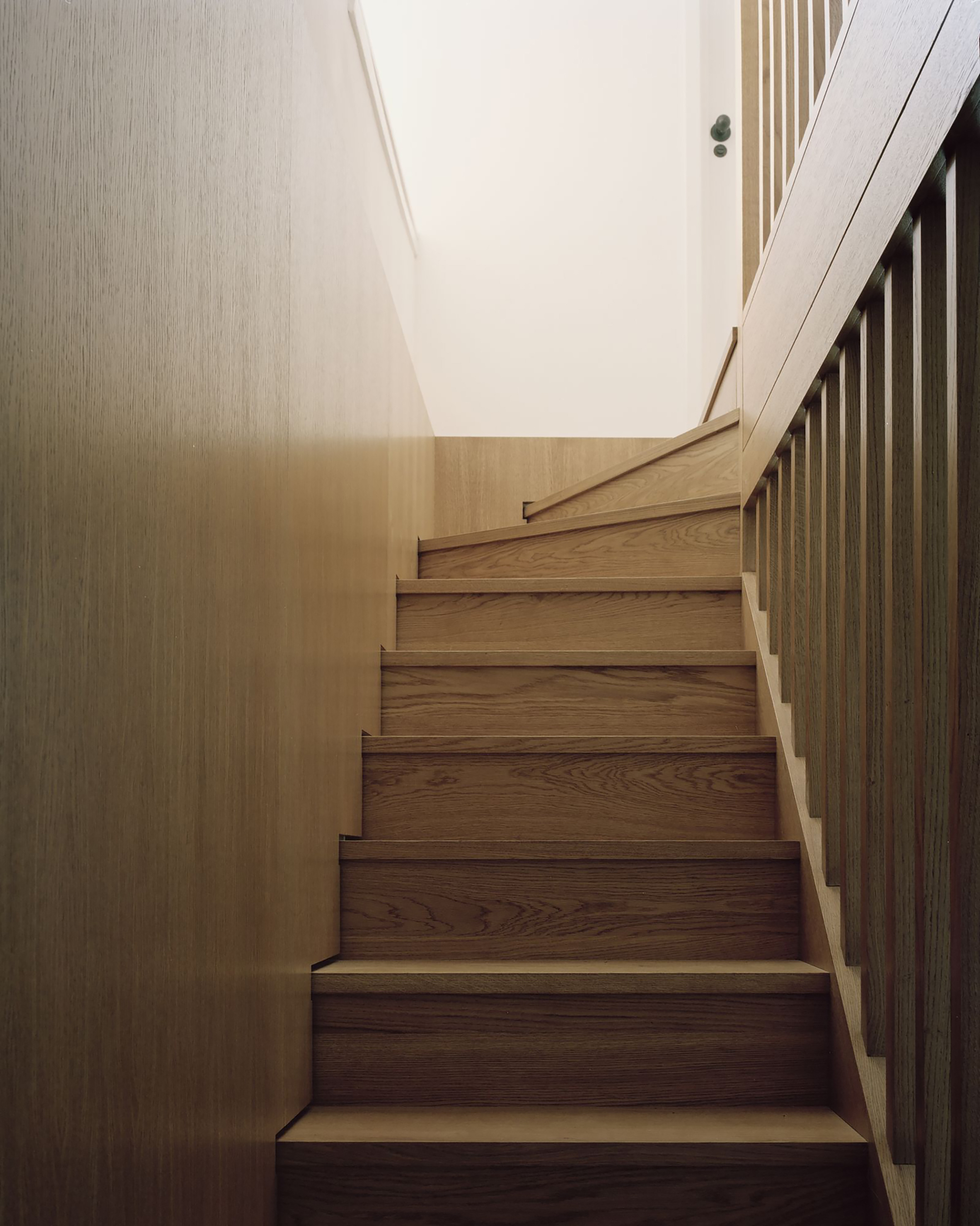 Leaning Yucca House / DF_DC-19