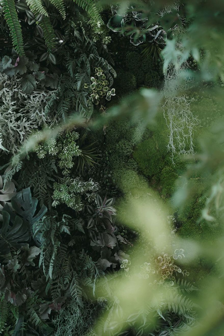 万科公园城市示范区-198