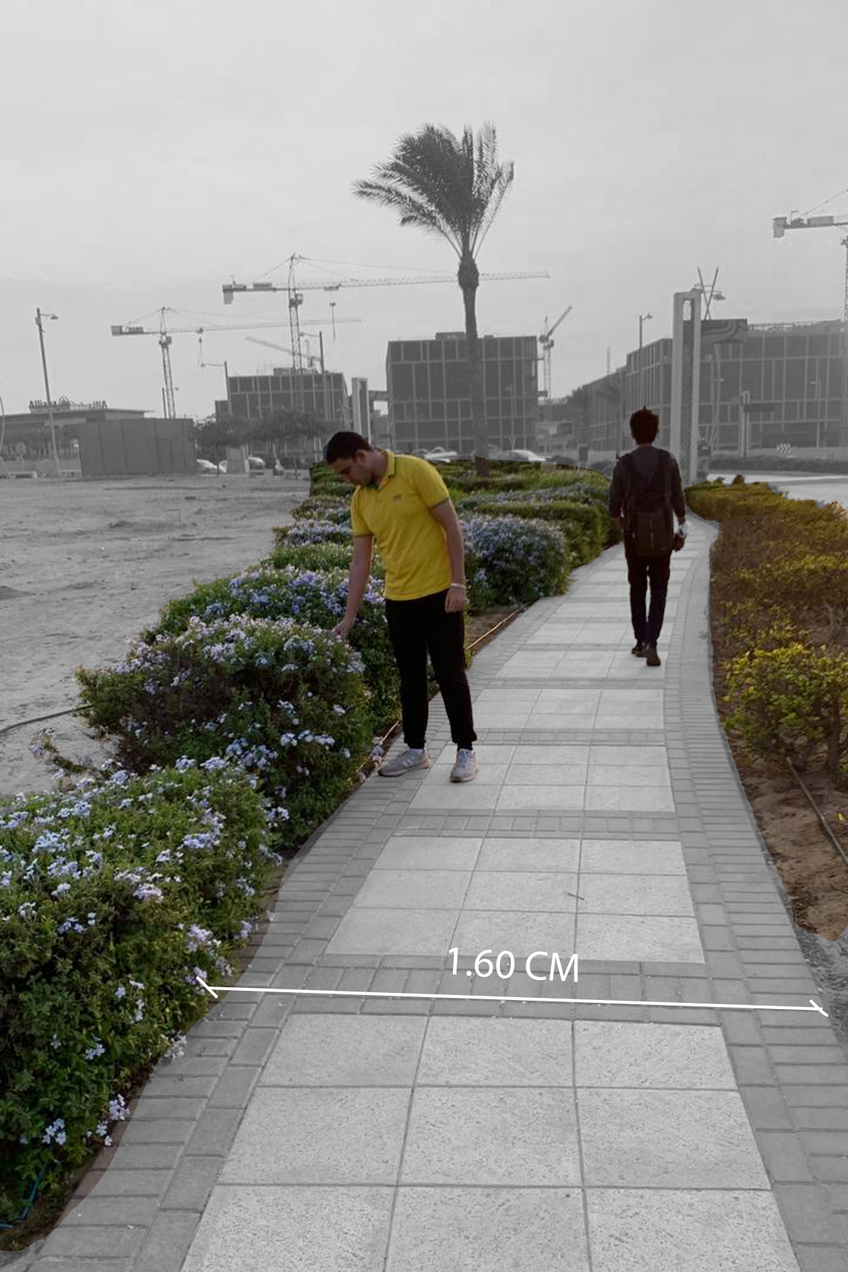 University landscape team research 2021-3