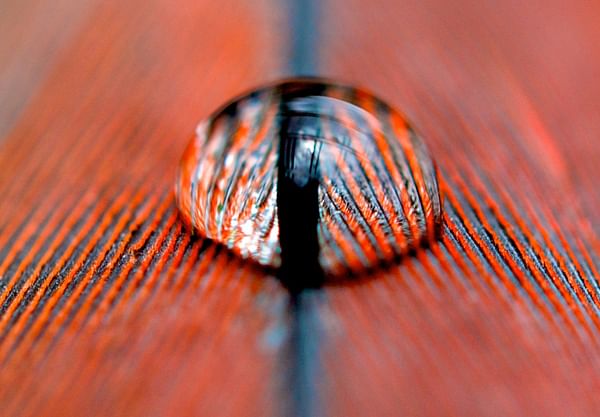 丨日本福冈丨Steven Holl-33