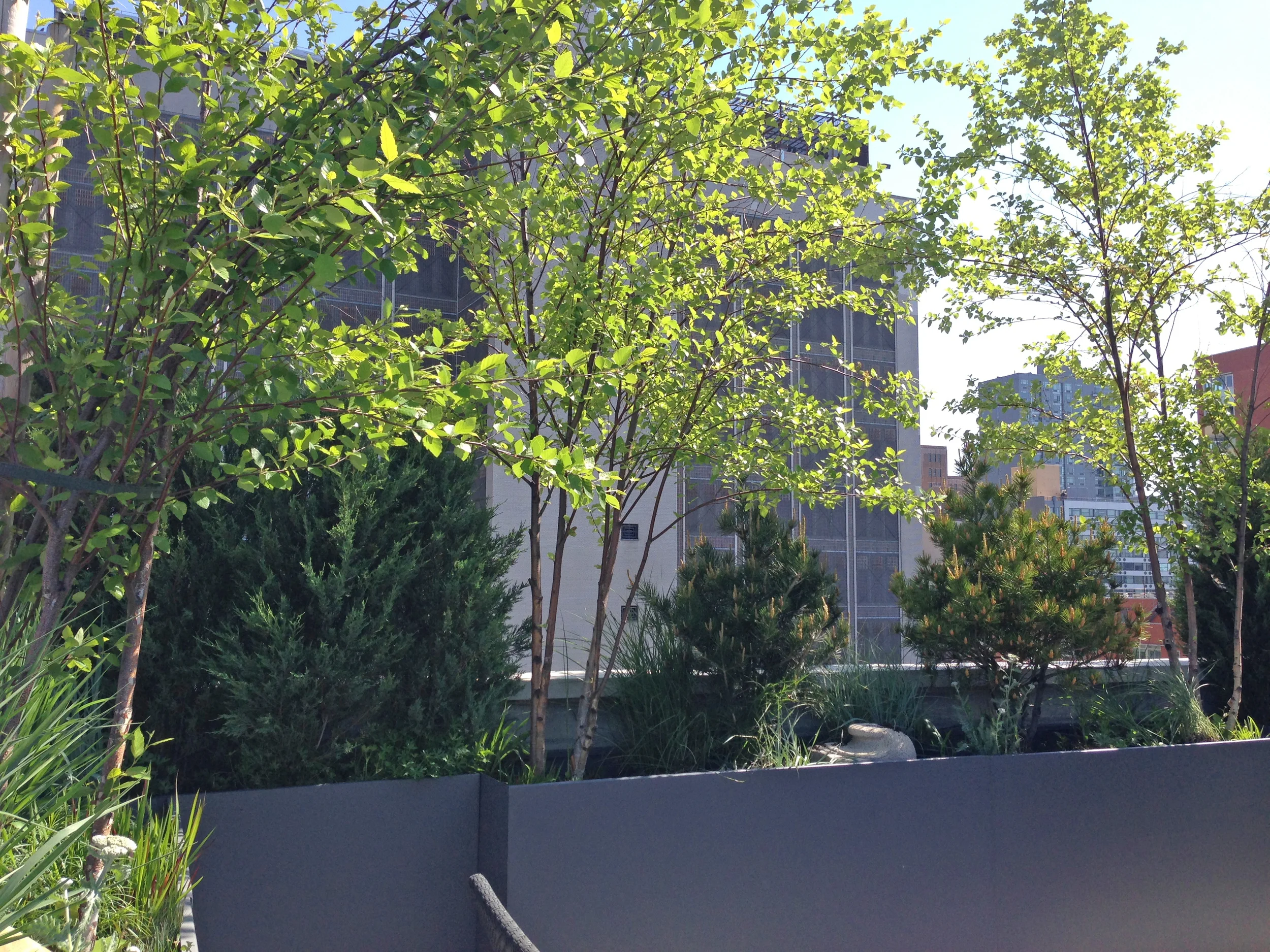 太平洋街排屋丨Alive Structures-5