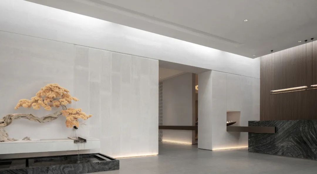 金辉×Z.POWER | 流动的东方幻境-15