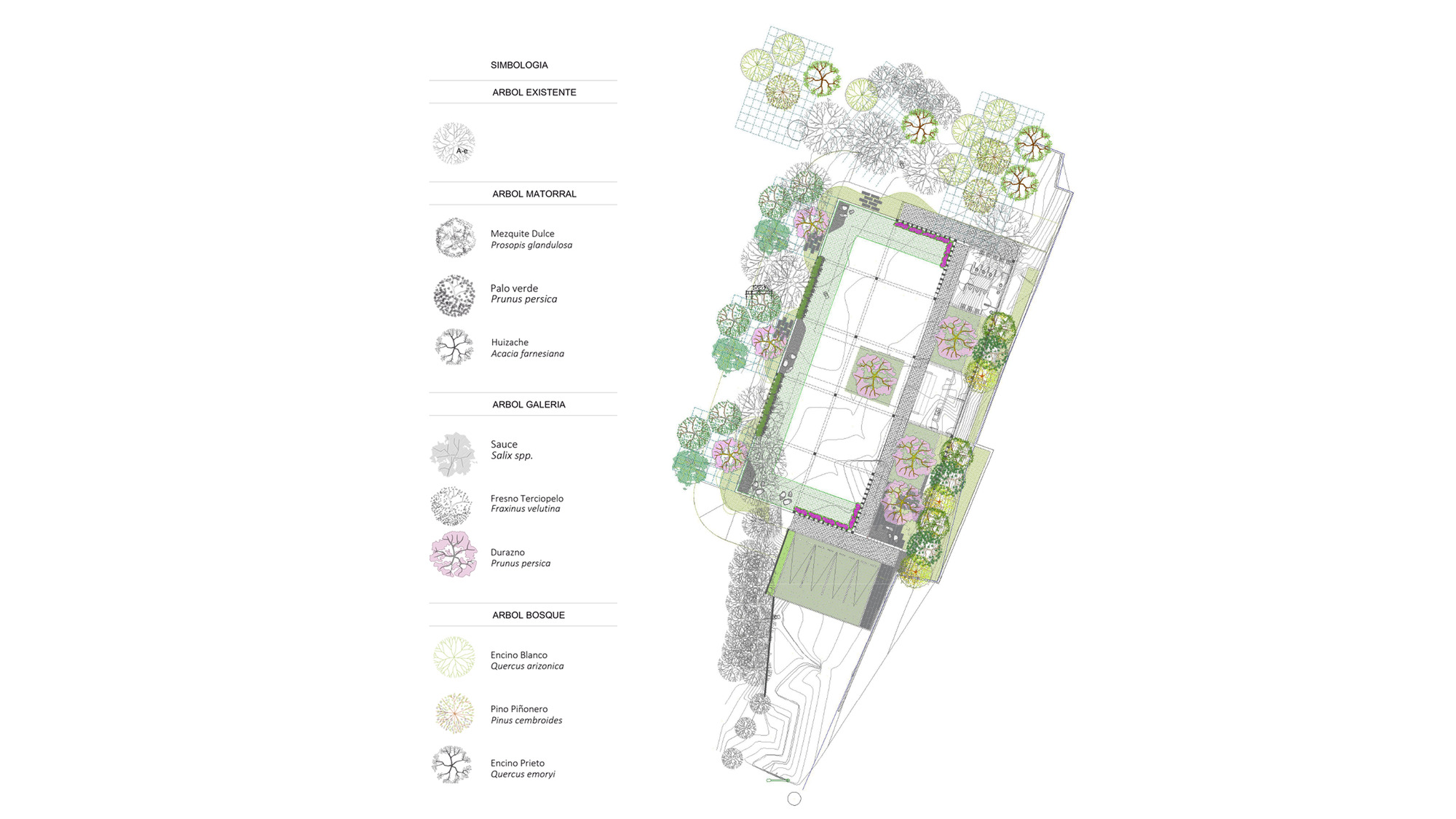 丨墨西哥奇瓦瓦丨OficinaTransversal-34