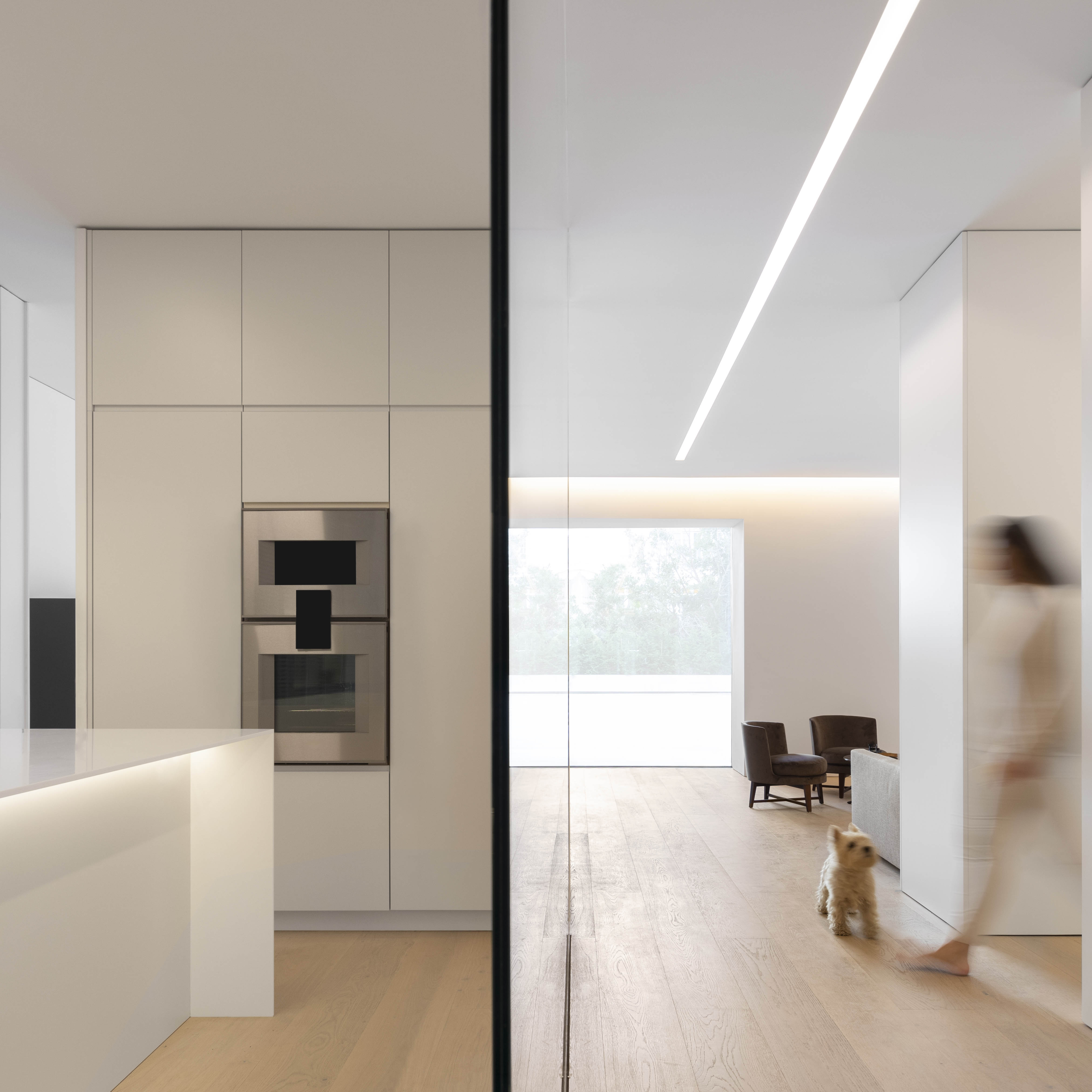 城市中心的蓝色花园别墅设计-10