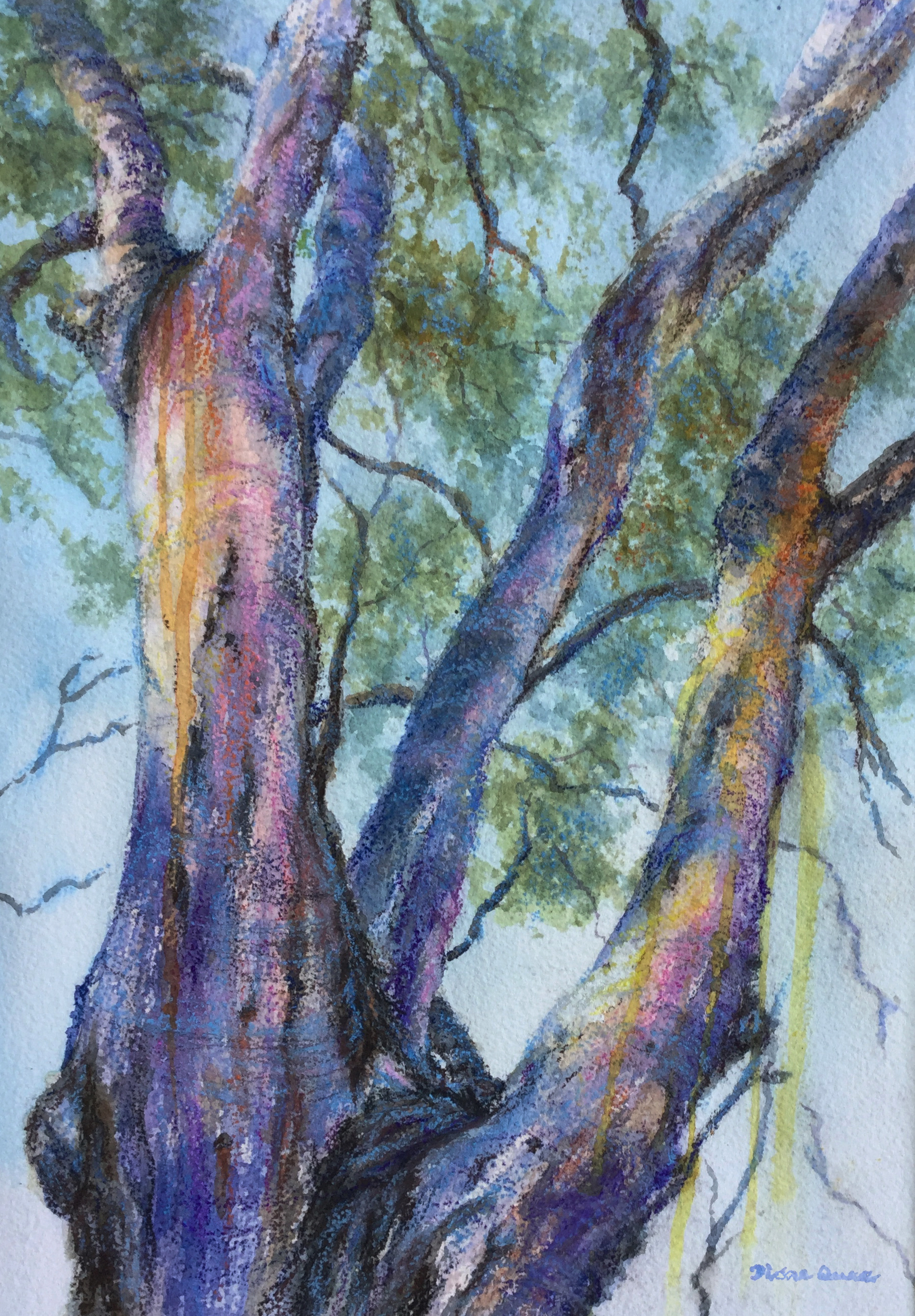 世界上的树木丨Sylvie D.-49