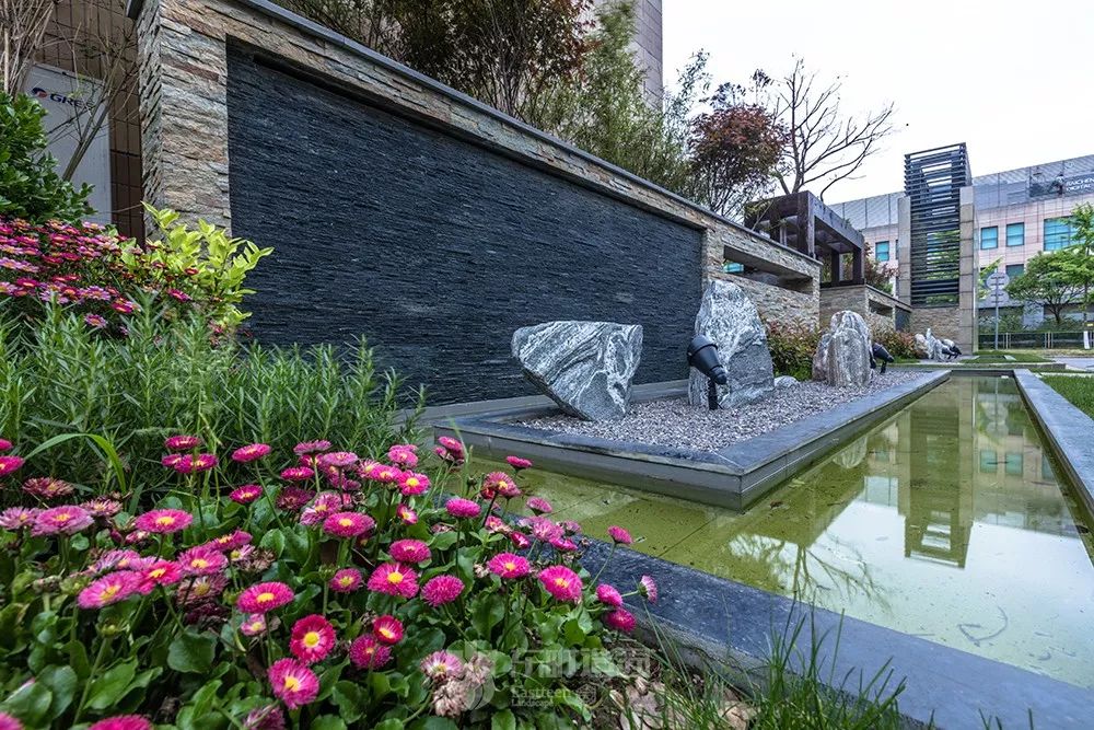 花园植物搭配的艺术与功能-33