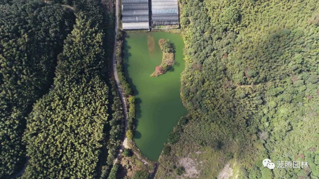 行走的茏腾人 | 象头山自然之美-79