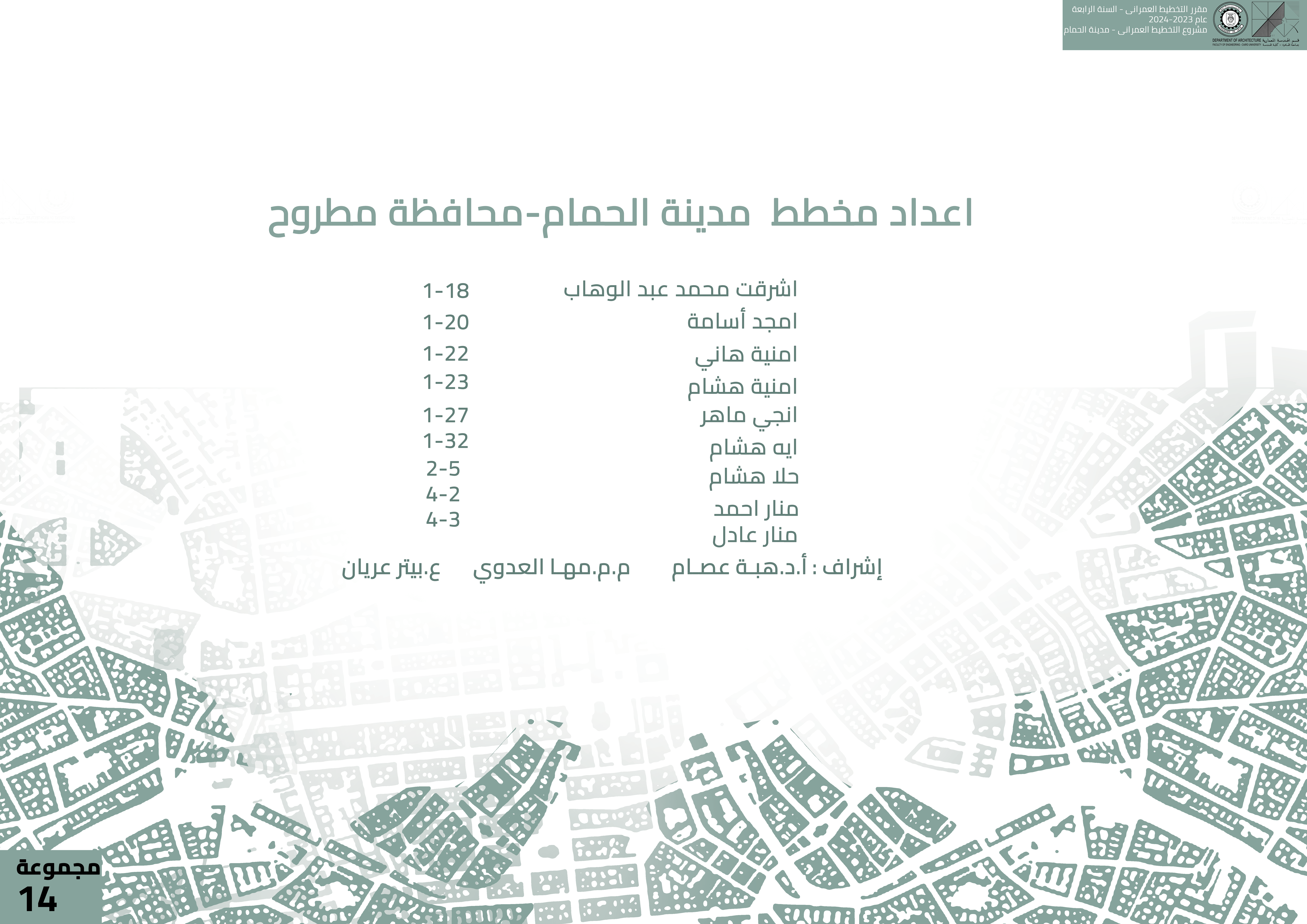 Hamam City 发展  城市规划项目丨埃及丨开罗大学工程学院建筑系-4