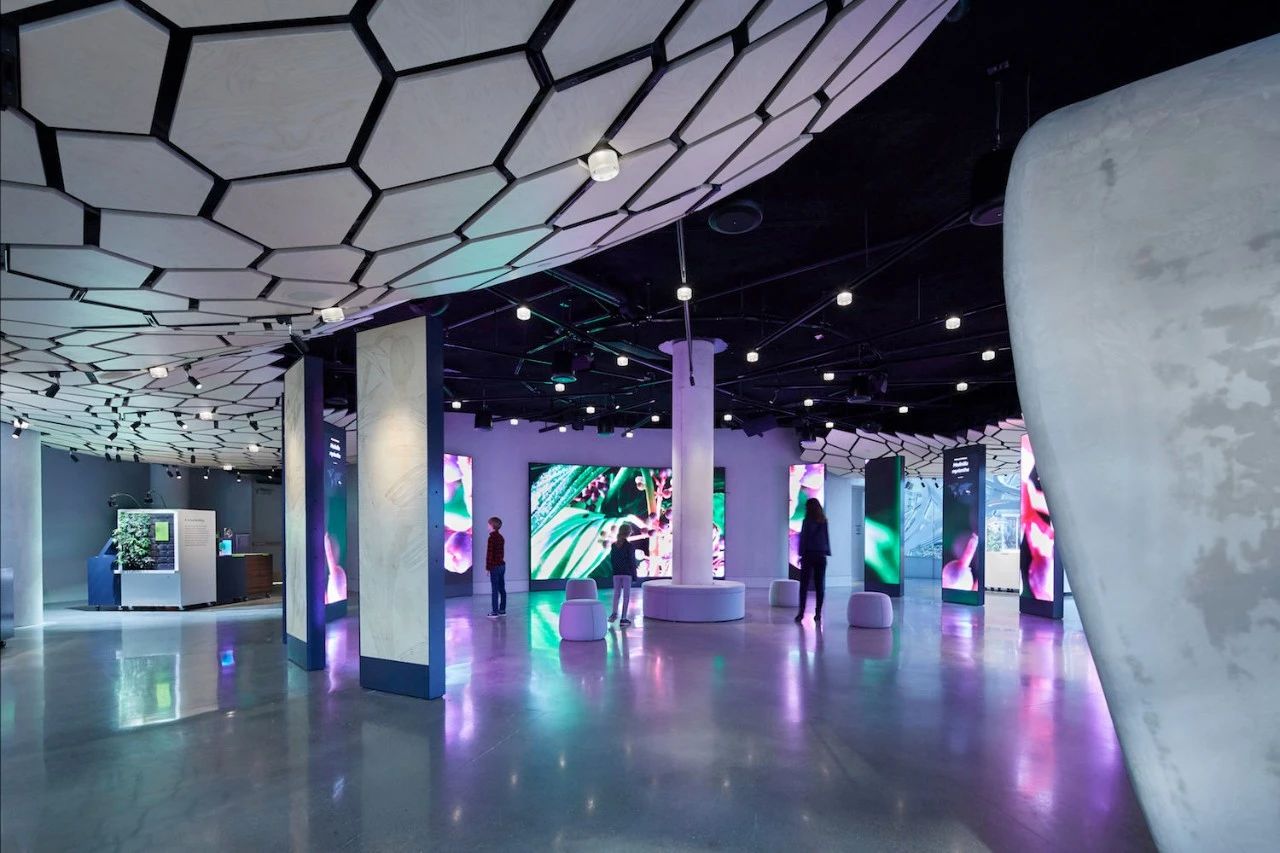 自然与建筑 · 球体的故事-48